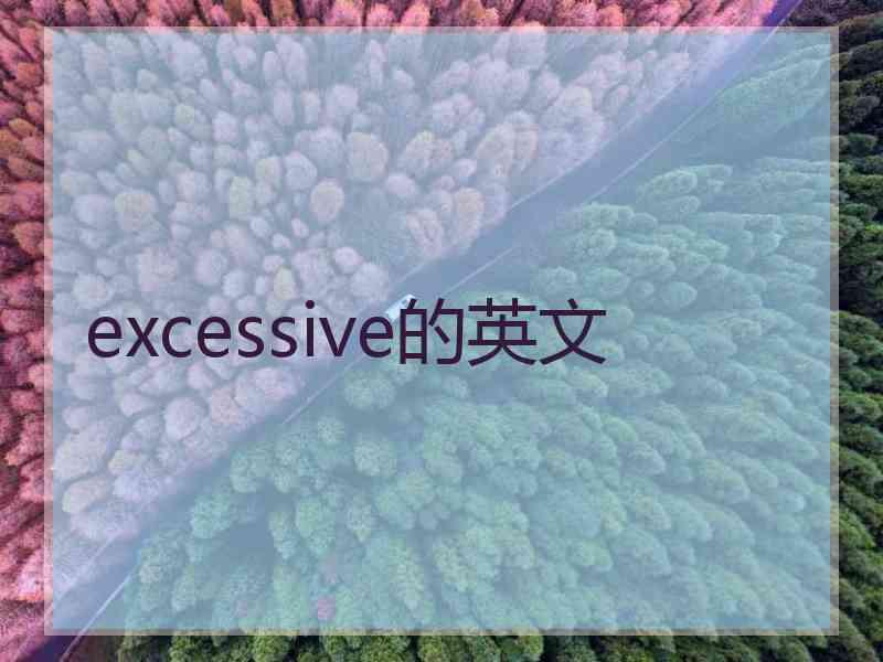 excessive的英文