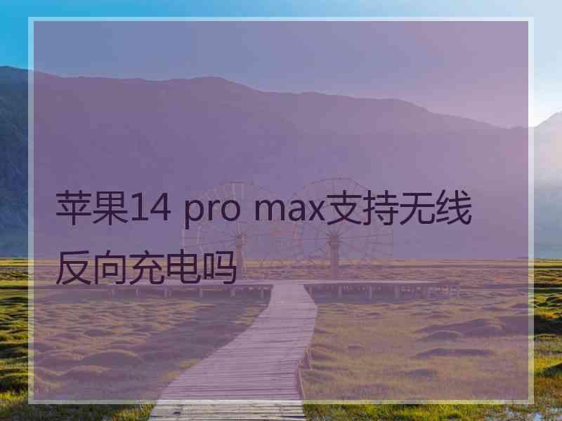 苹果14 pro max支持无线反向充电吗