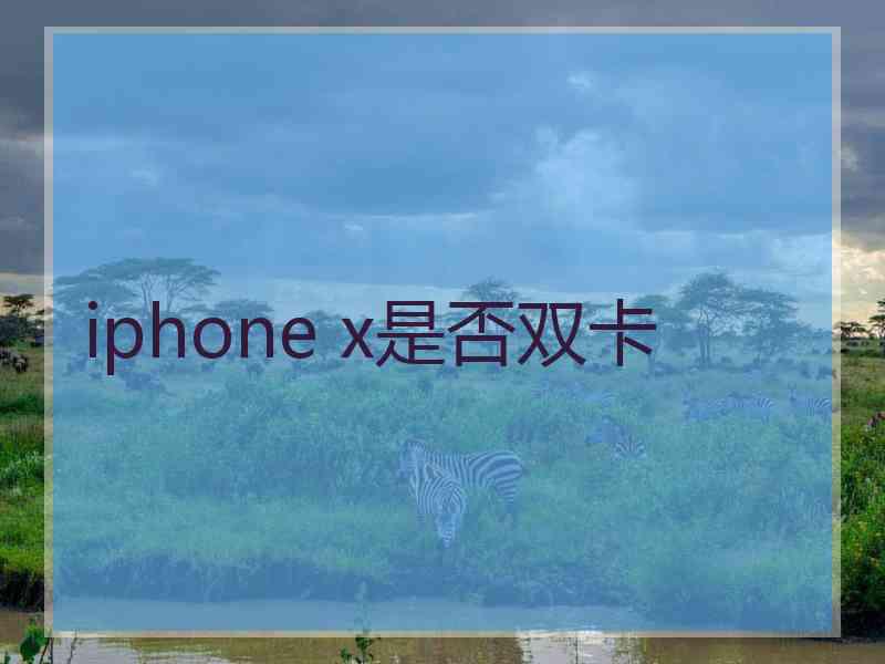 iphone x是否双卡