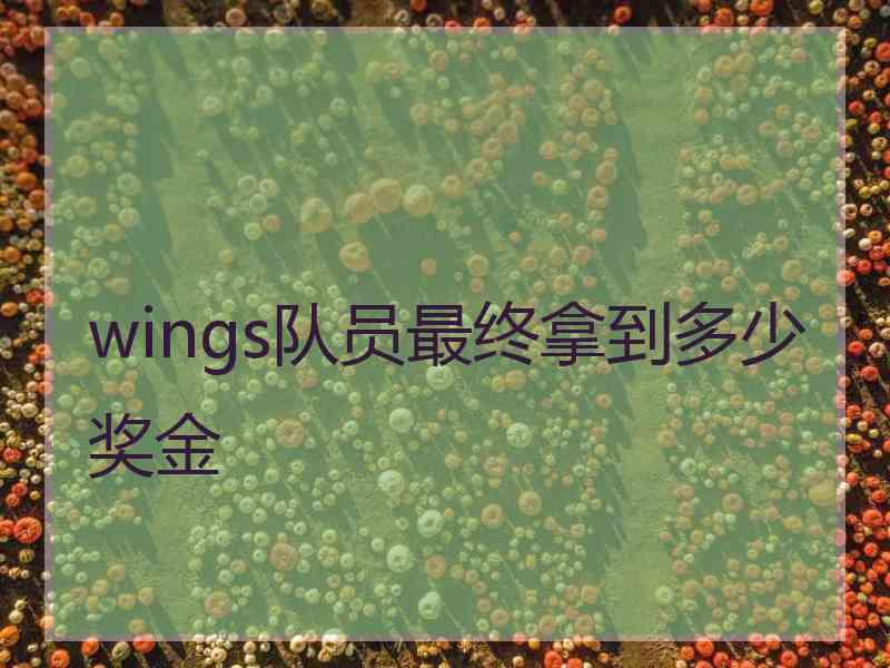 wings队员最终拿到多少奖金