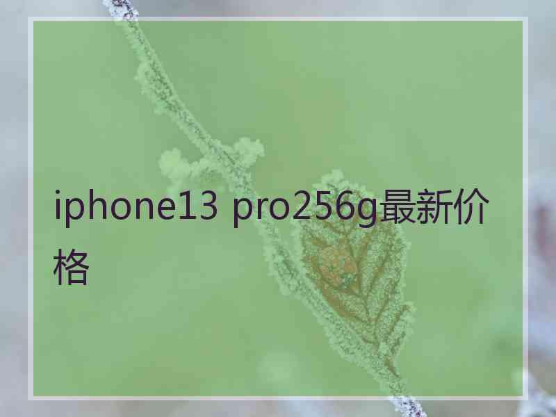 iphone13 pro256g最新价格