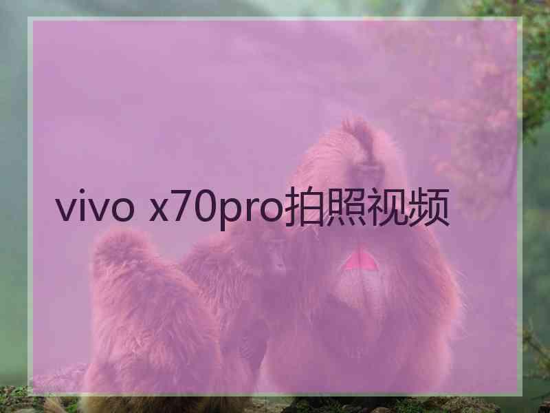 vivo x70pro拍照视频