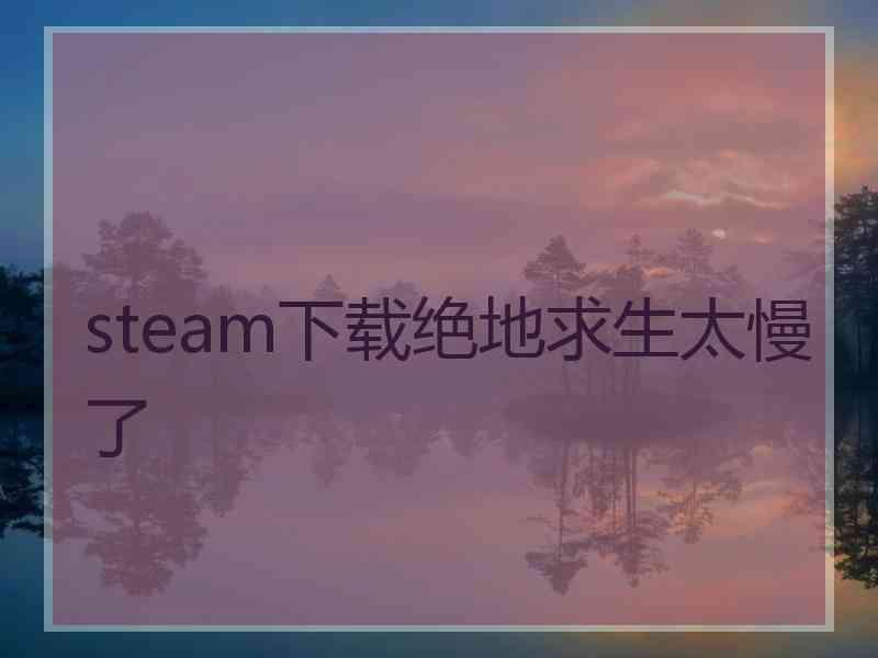 steam下载绝地求生太慢了