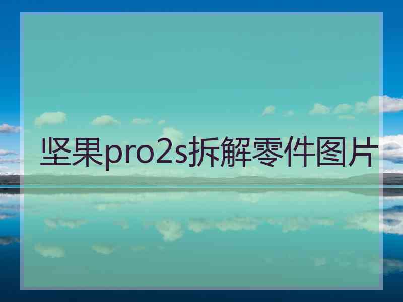 坚果pro2s拆解零件图片