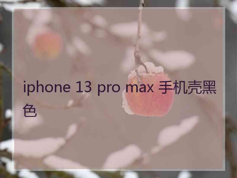 iphone 13 pro max 手机壳黑色