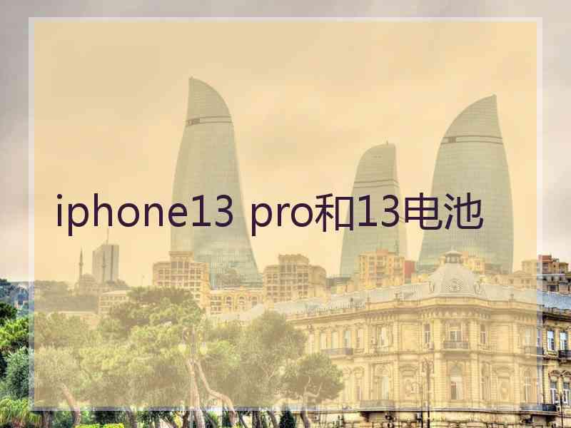 iphone13 pro和13电池