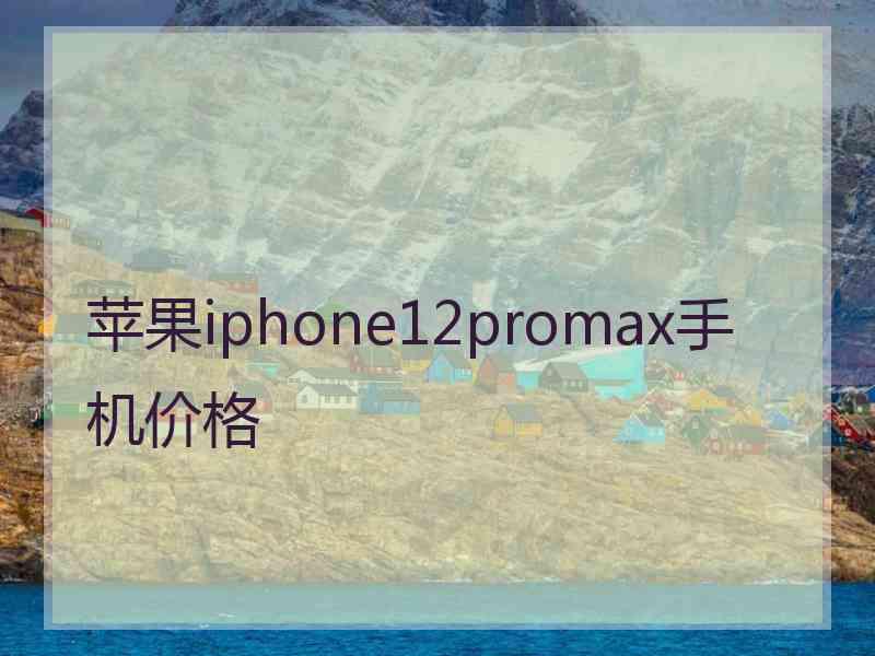 苹果iphone12promax手机价格