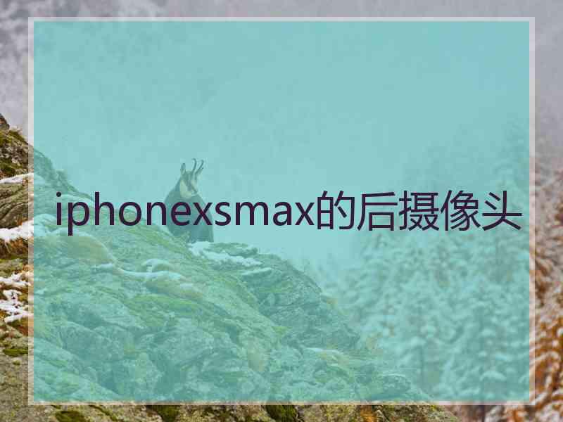 iphonexsmax的后摄像头