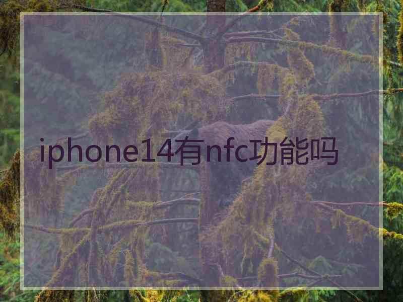 iphone14有nfc功能吗