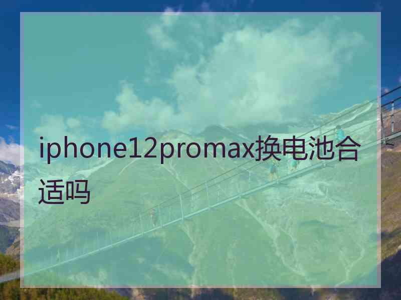 iphone12promax换电池合适吗