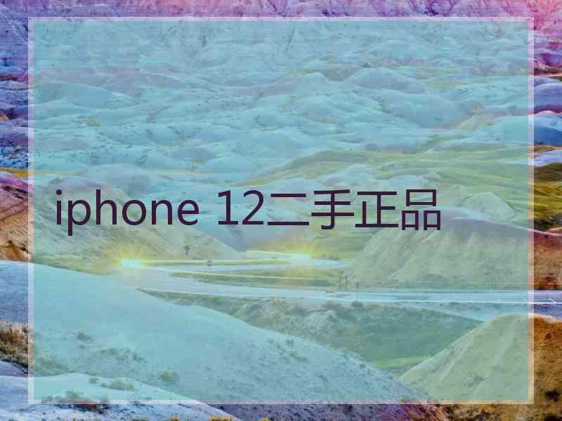 iphone 12二手正品