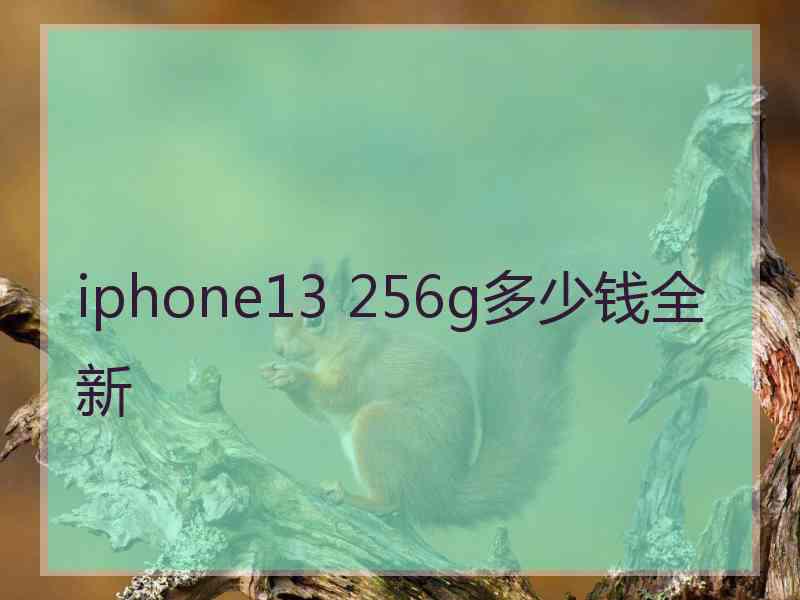 iphone13 256g多少钱全新