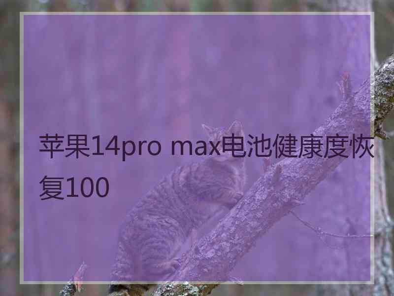 苹果14pro max电池健康度恢复100