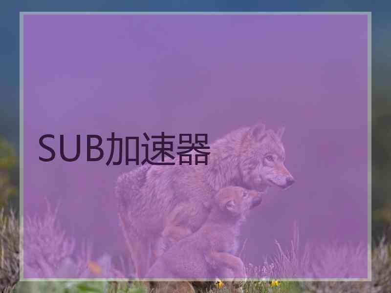 SUB加速器