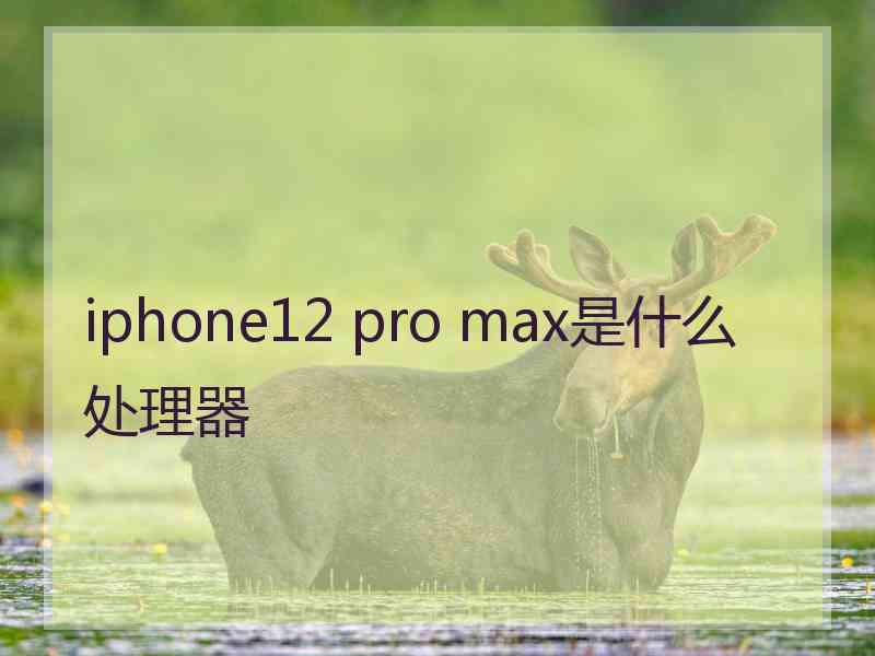 iphone12 pro max是什么处理器