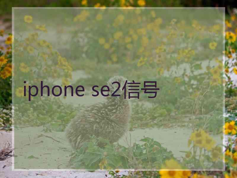 iphone se2信号