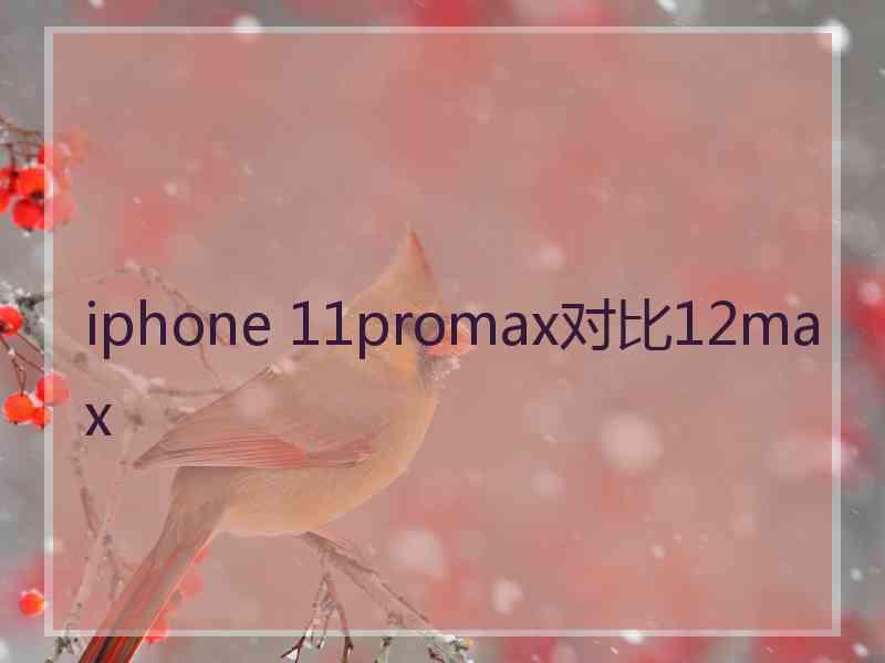 iphone 11promax对比12max