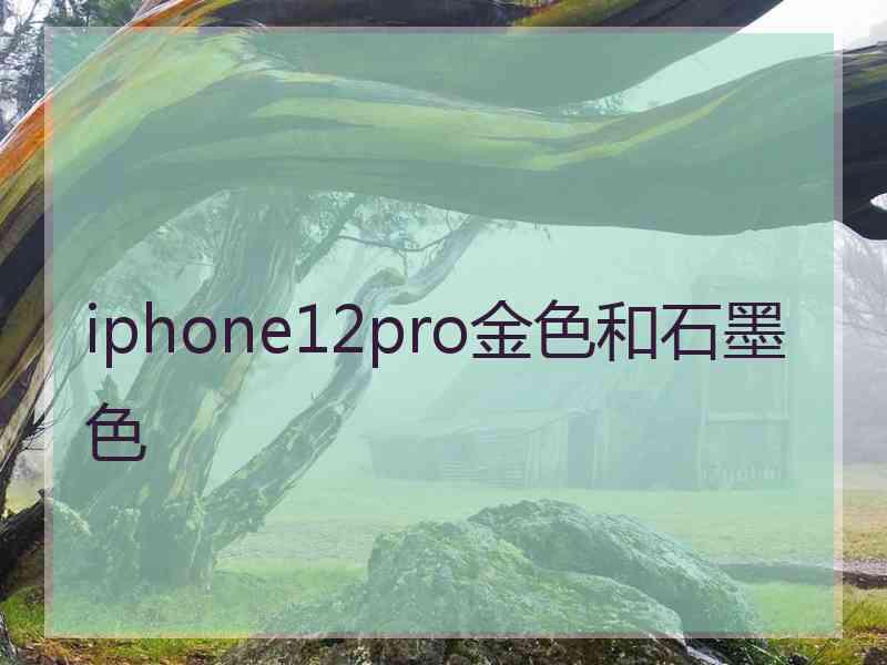 iphone12pro金色和石墨色