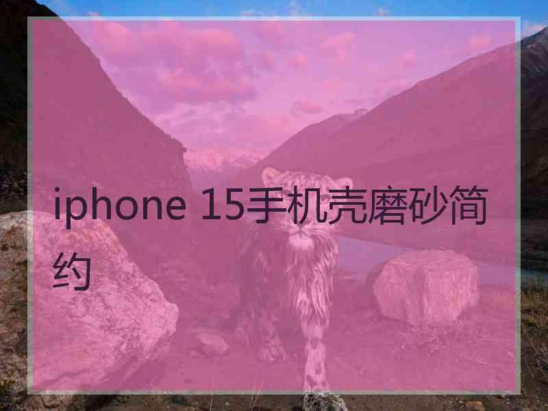 iphone 15手机壳磨砂简约