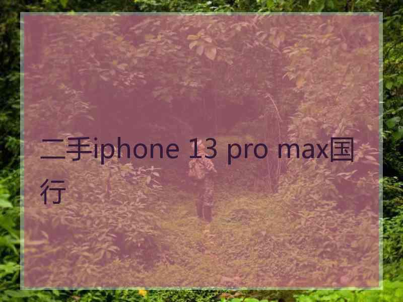 二手iphone 13 pro max国行