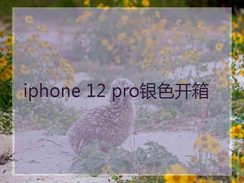 iphone 12 pro银色开箱