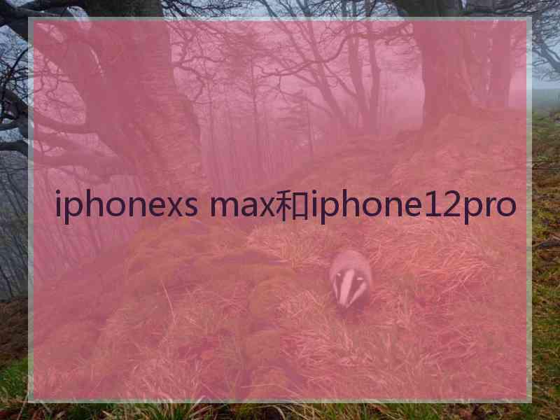 iphonexs max和iphone12pro