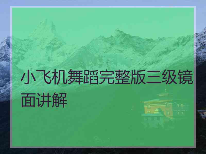 小飞机舞蹈完整版三级镜面讲解