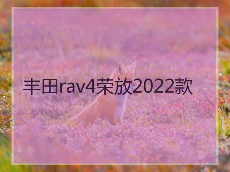 丰田rav4荣放2022款