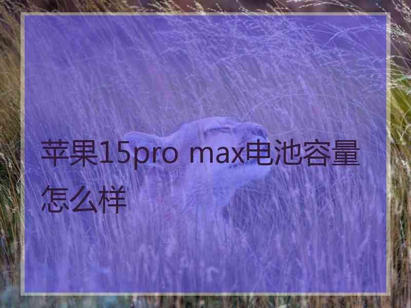 苹果15pro max电池容量怎么样