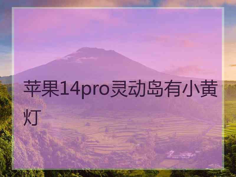 苹果14pro灵动岛有小黄灯