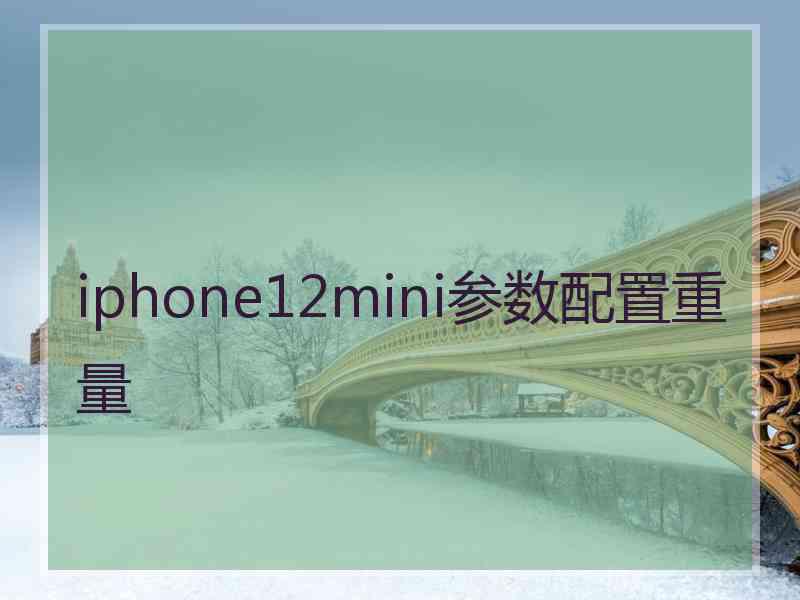 iphone12mini参数配置重量