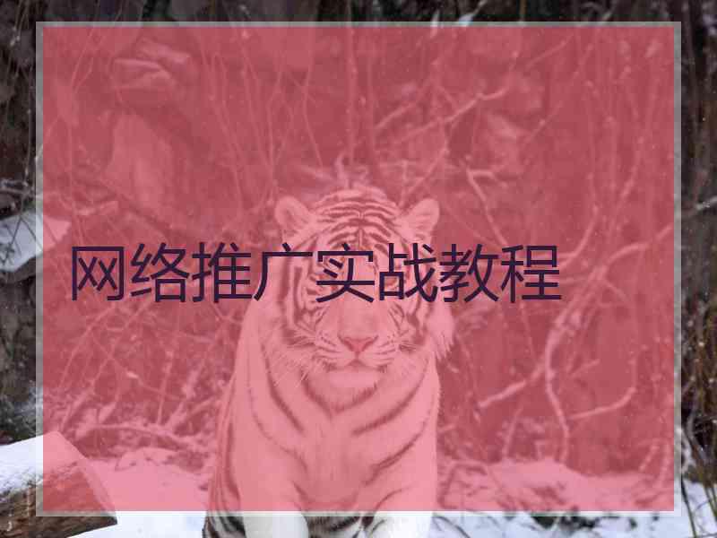 网络推广实战教程