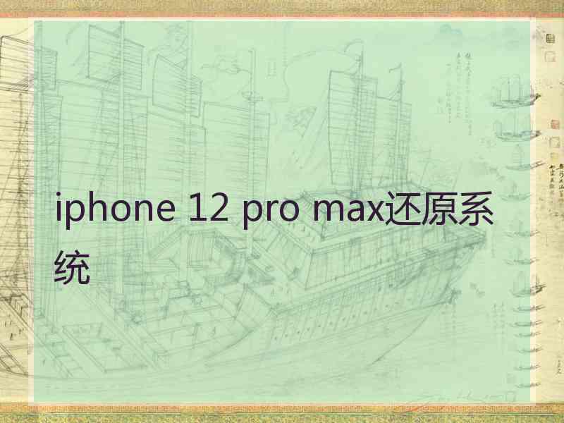 iphone 12 pro max还原系统