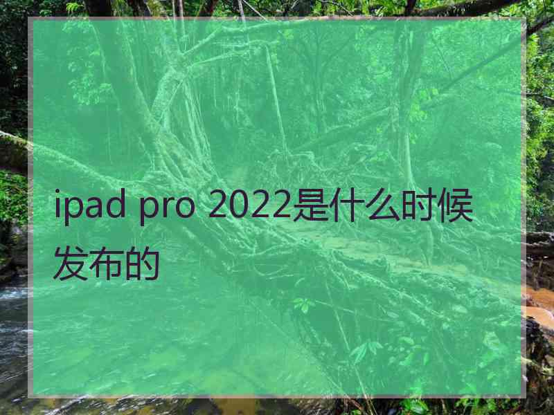 ipad pro 2022是什么时候发布的