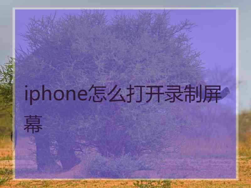 iphone怎么打开录制屏幕