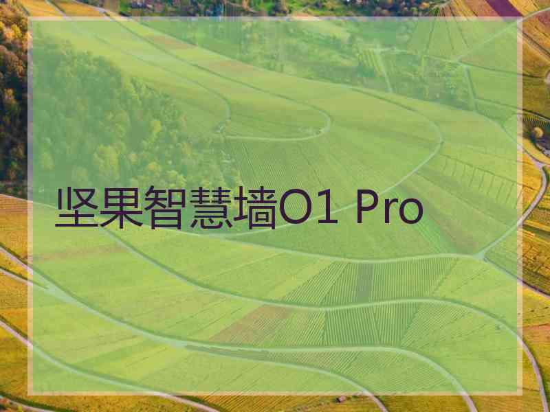 坚果智慧墙O1 Pro