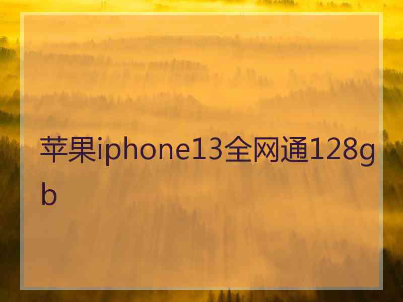 苹果iphone13全网通128gb