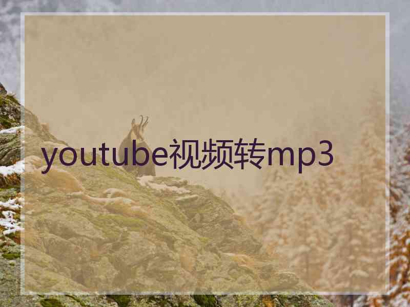 youtube视频转mp3