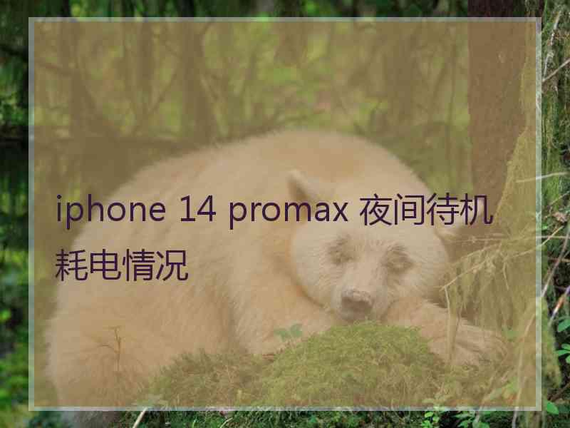 iphone 14 promax 夜间待机耗电情况