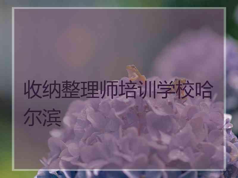 收纳整理师培训学校哈尔滨