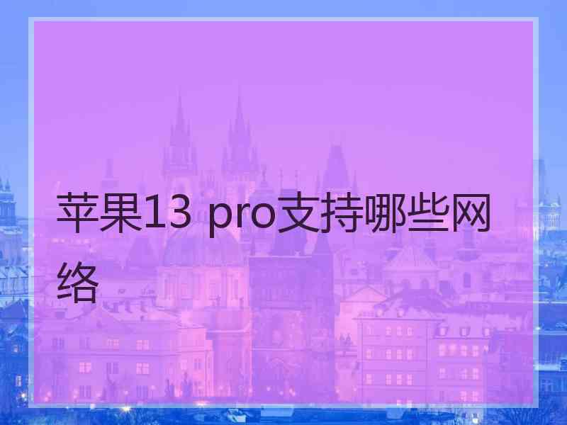 苹果13 pro支持哪些网络