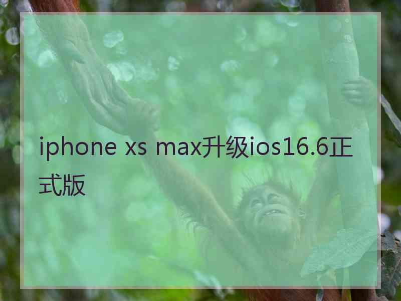 iphone xs max升级ios16.6正式版