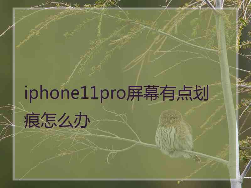 iphone11pro屏幕有点划痕怎么办