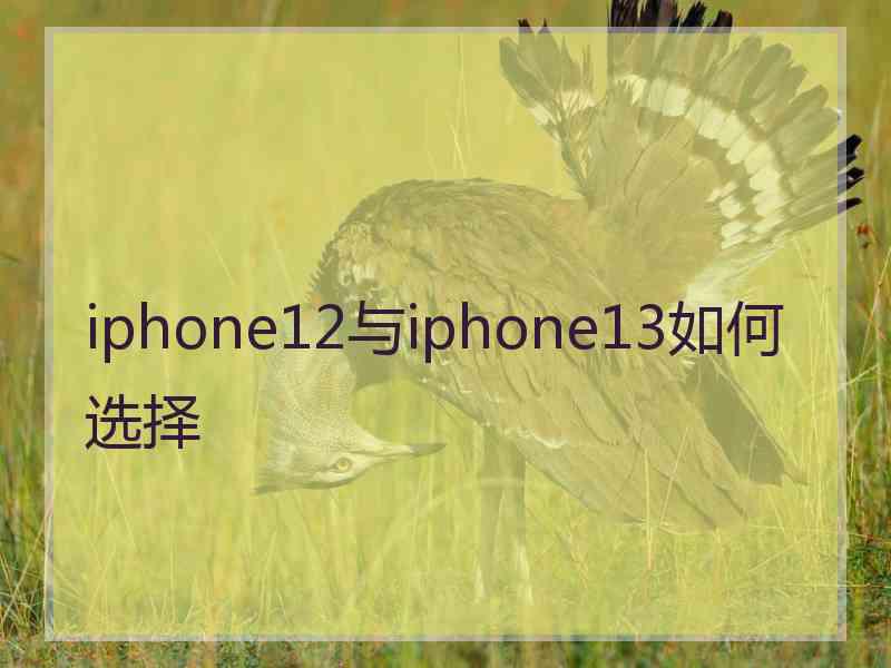 iphone12与iphone13如何选择