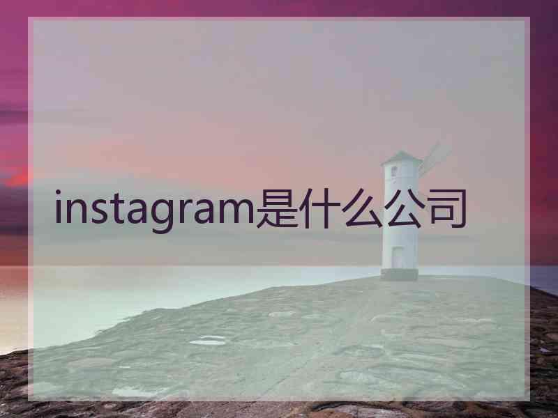 instagram是什么公司