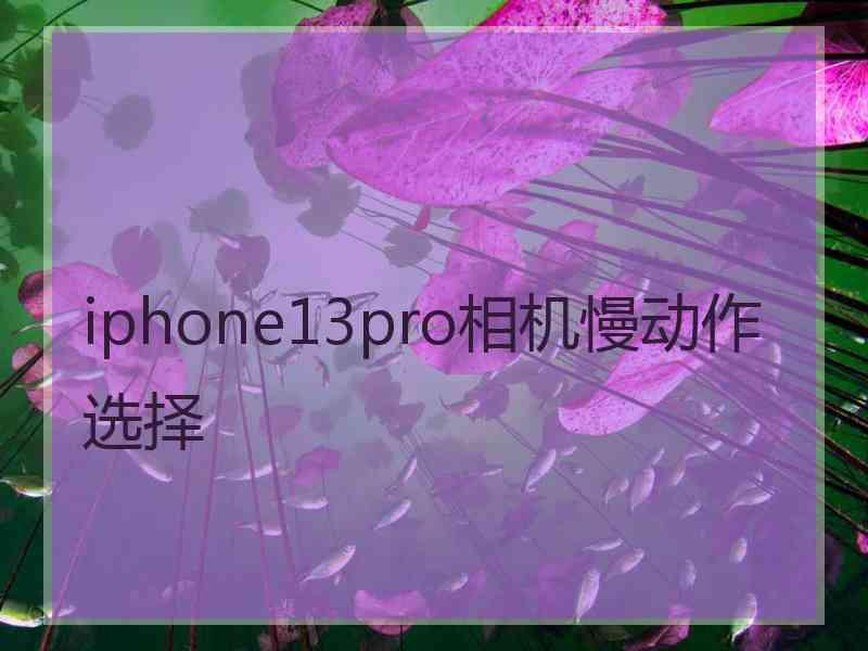 iphone13pro相机慢动作选择