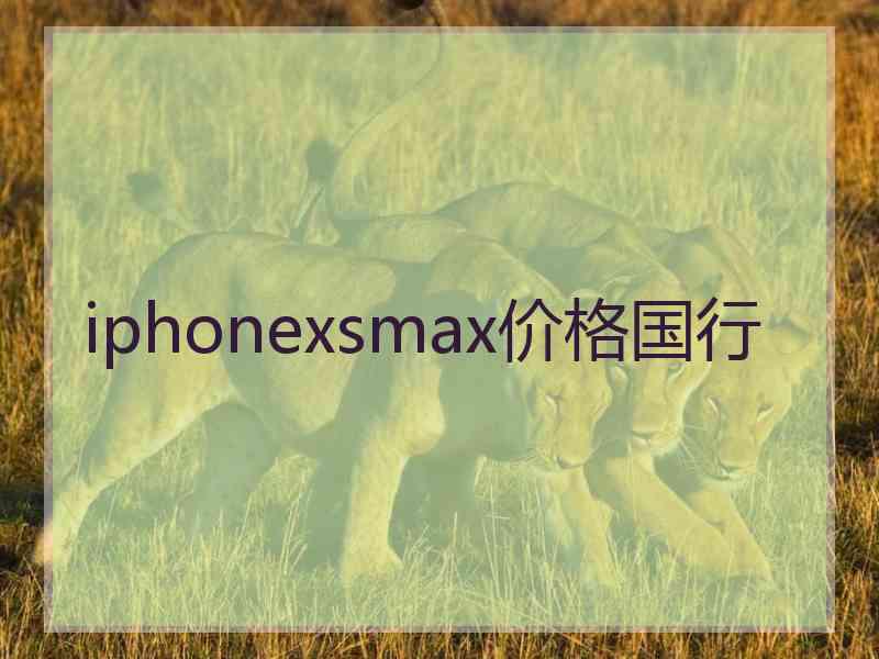 iphonexsmax价格国行