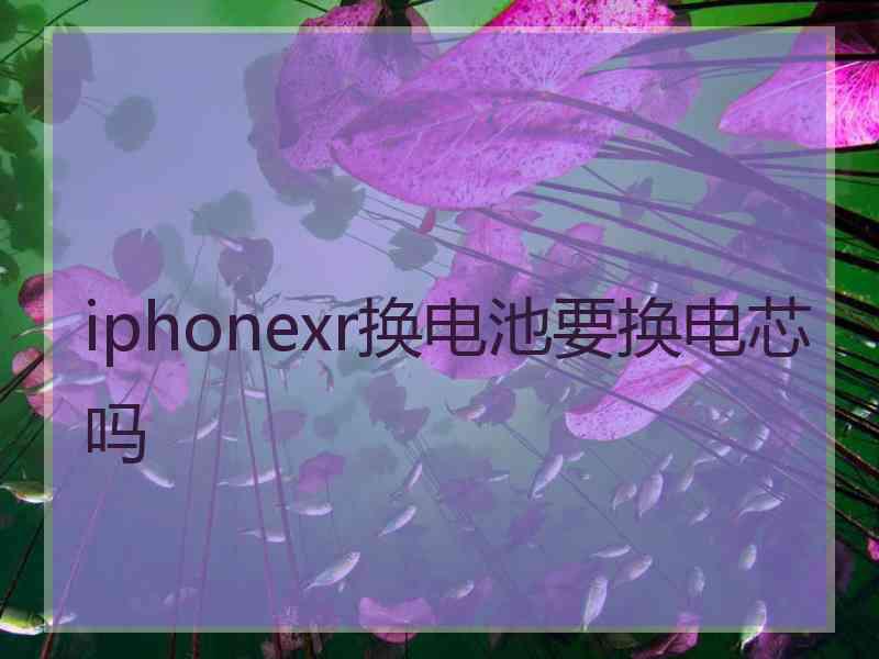 iphonexr换电池要换电芯吗