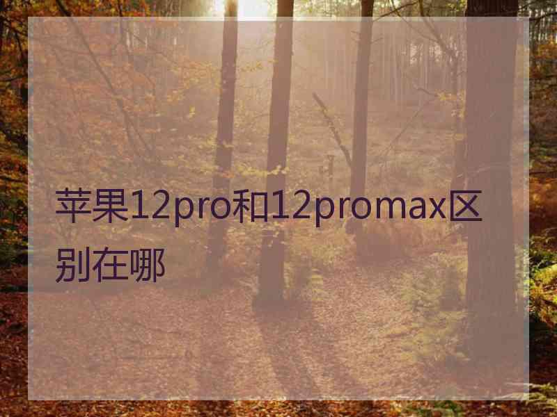 苹果12pro和12promax区别在哪