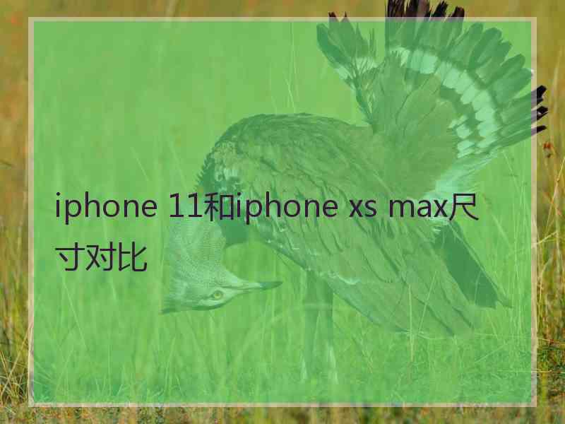 iphone 11和iphone xs max尺寸对比